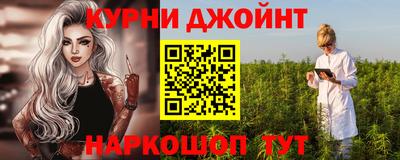 индика Анжеро-Судженск