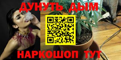индика Анжеро-Судженск