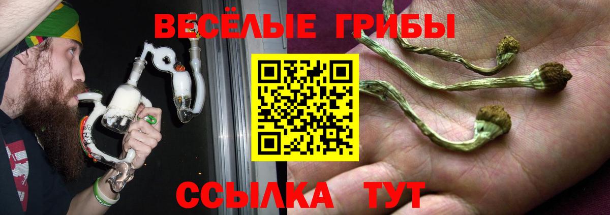 Псилоцибиновые грибы Psilocybine cubensis  Вход с VPN  Братск 